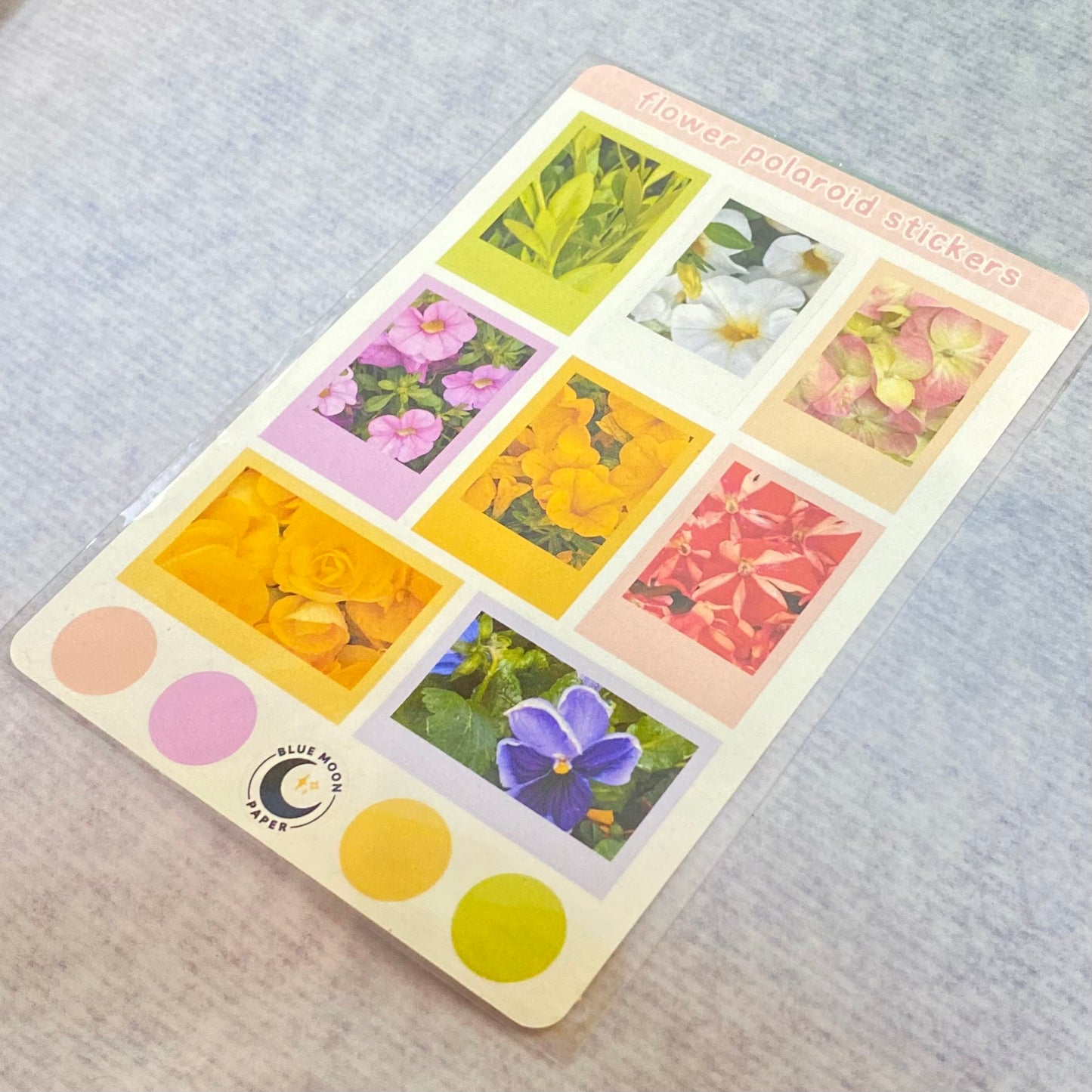 Flowers Polaroid Sticker Sheet