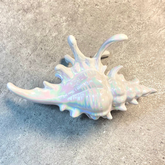 Conch Shell Clip