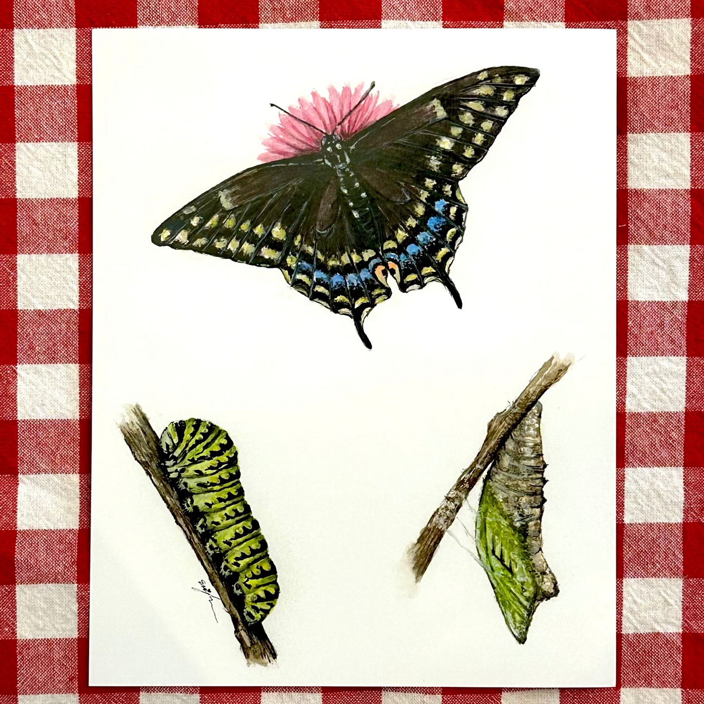 Metamorphosis Print
