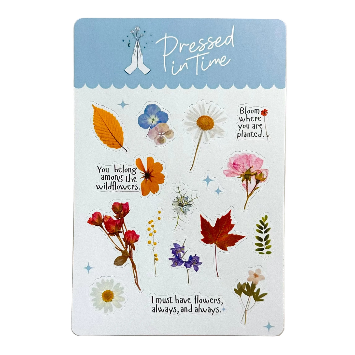 Pressed in Time Sticker Sheet