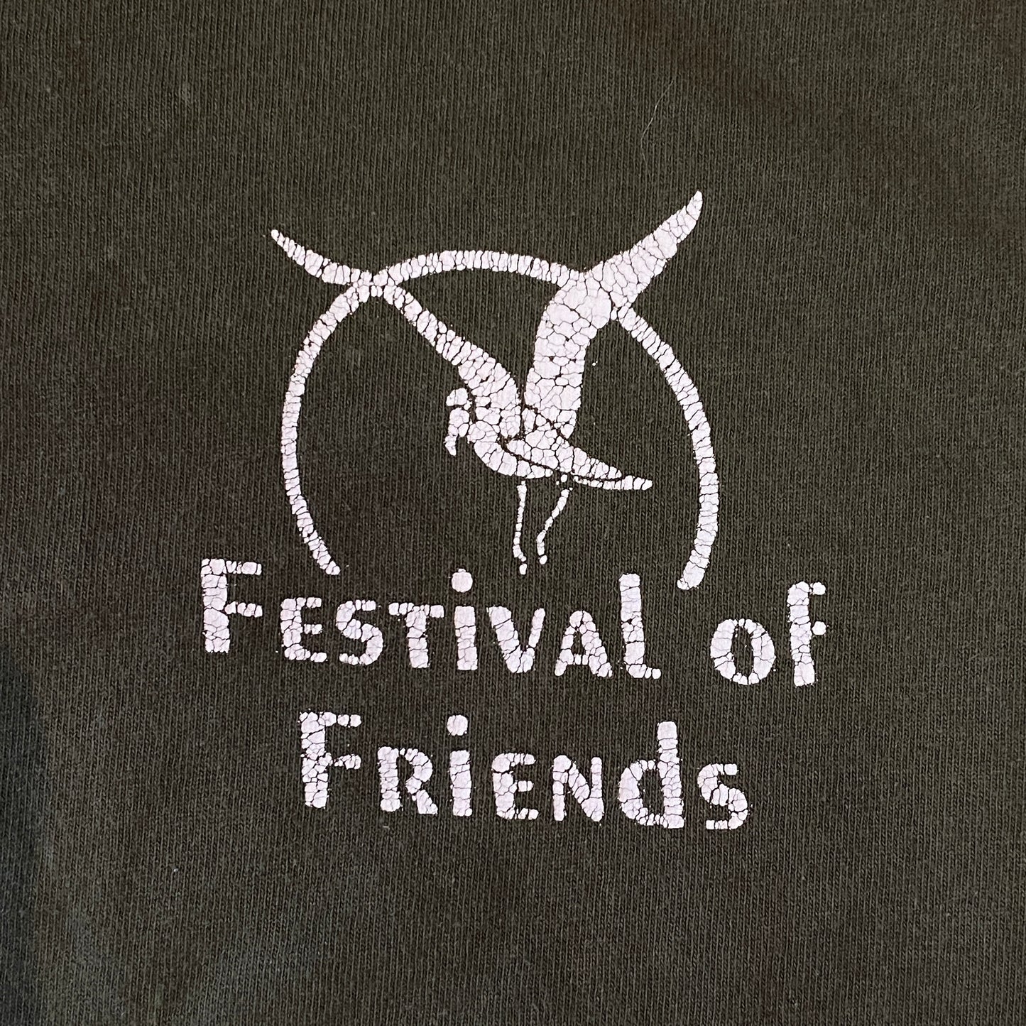 Vintage Festival Of Friends T-Shirt (XL)