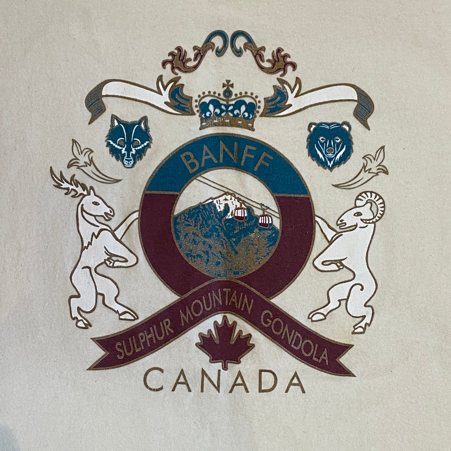 Vintage Banff T-Shirt (XL)