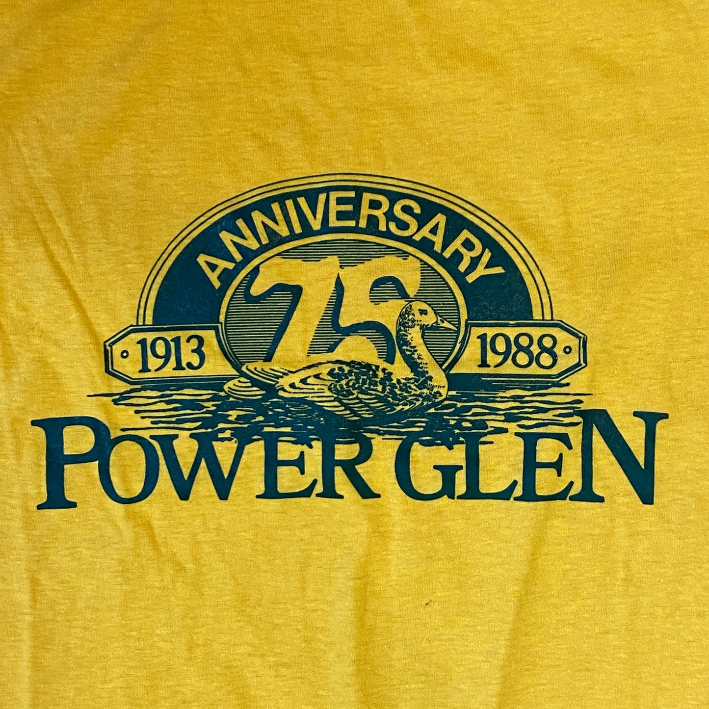 Vintage Power Glen Ringer T-Shirt (M)