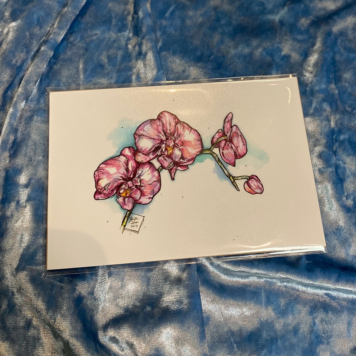 Jon Shaw 4X6