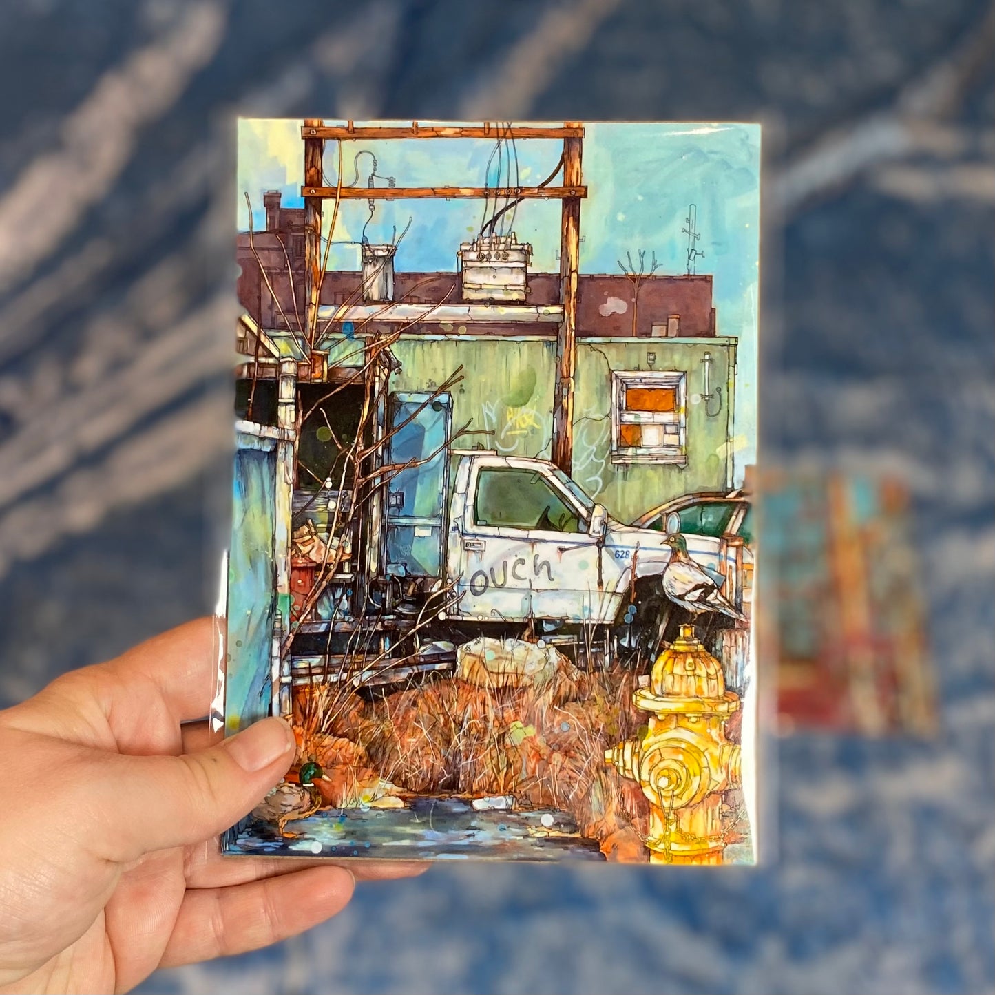 Jon Shaw 5x7