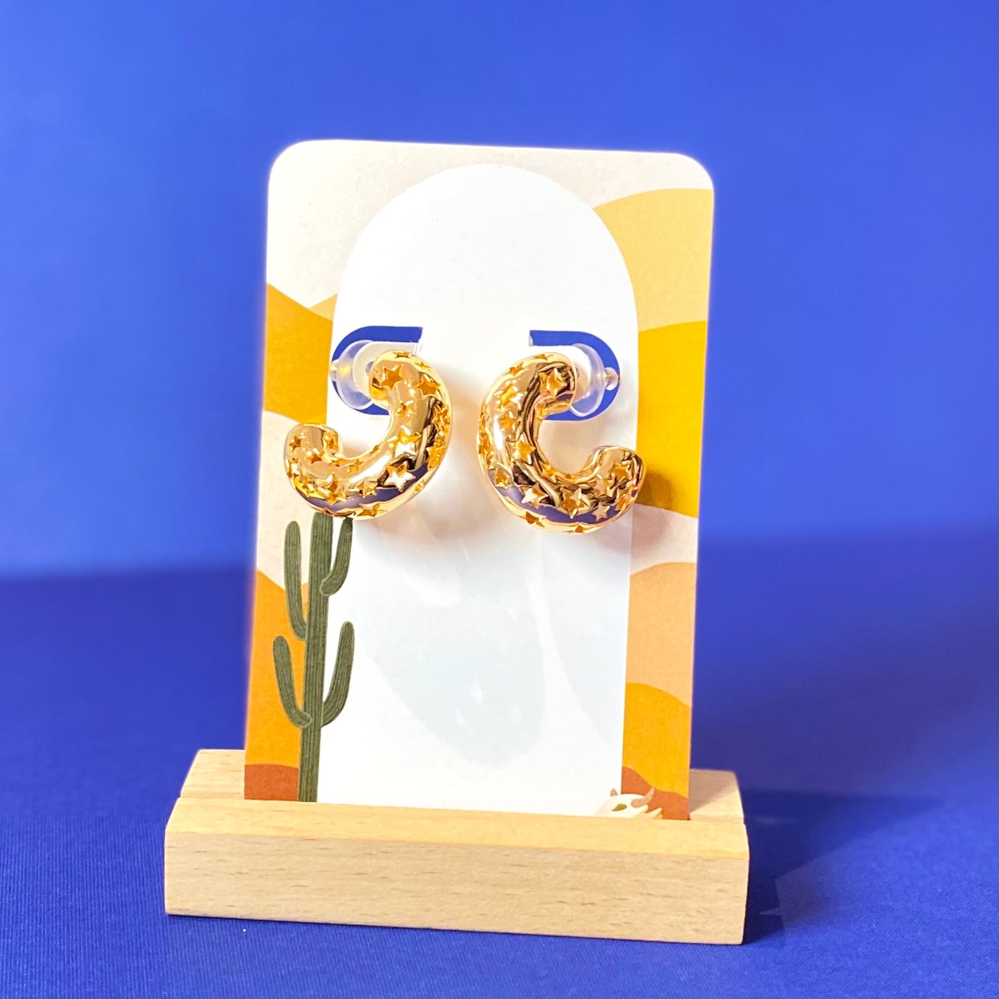 Star Gazer Earrings