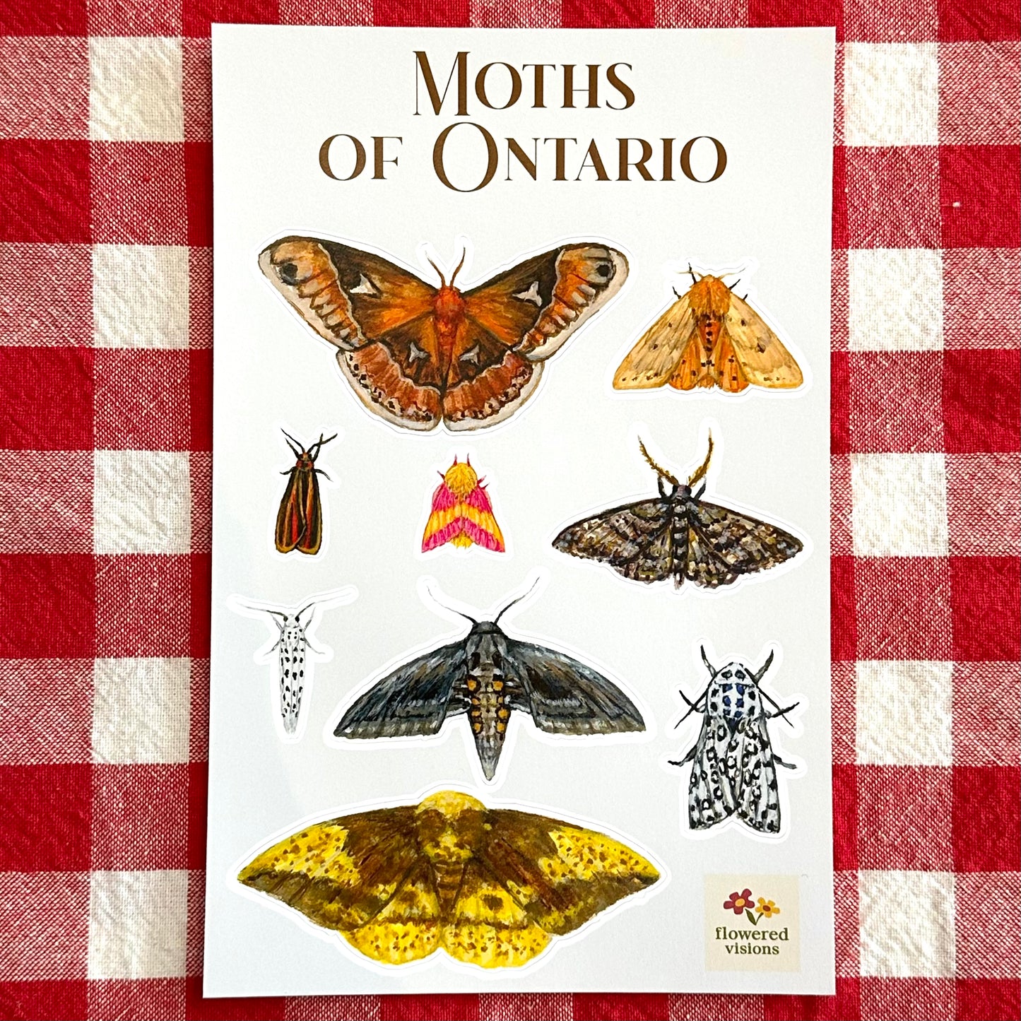 Moths of Ontario Sticker Sheet
