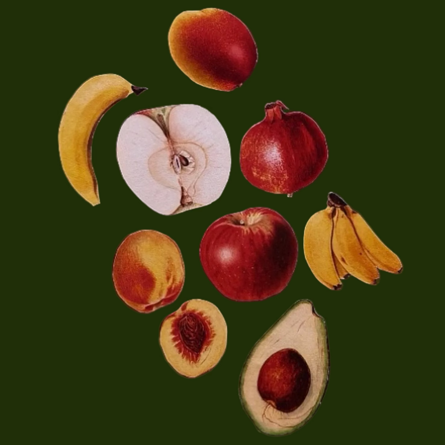 Fruit Collage Magnet Pack