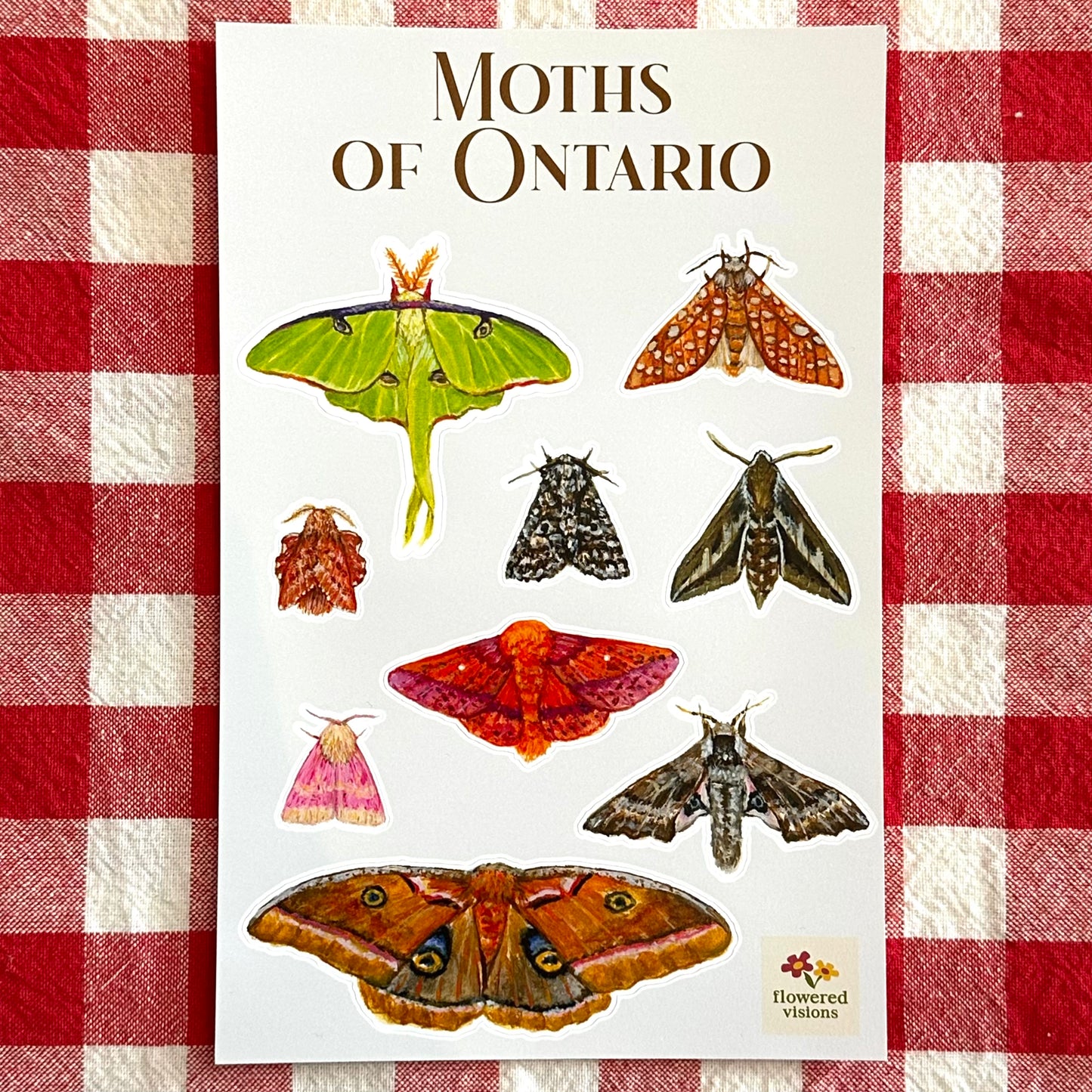 Moths of Ontario Sticker Sheet