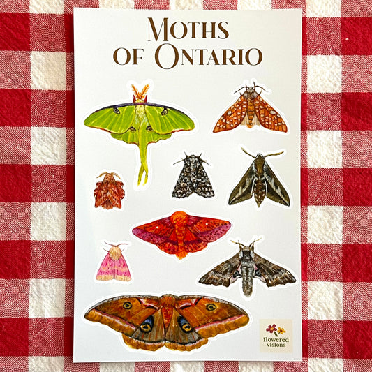 Moths of Ontario Sticker Sheet