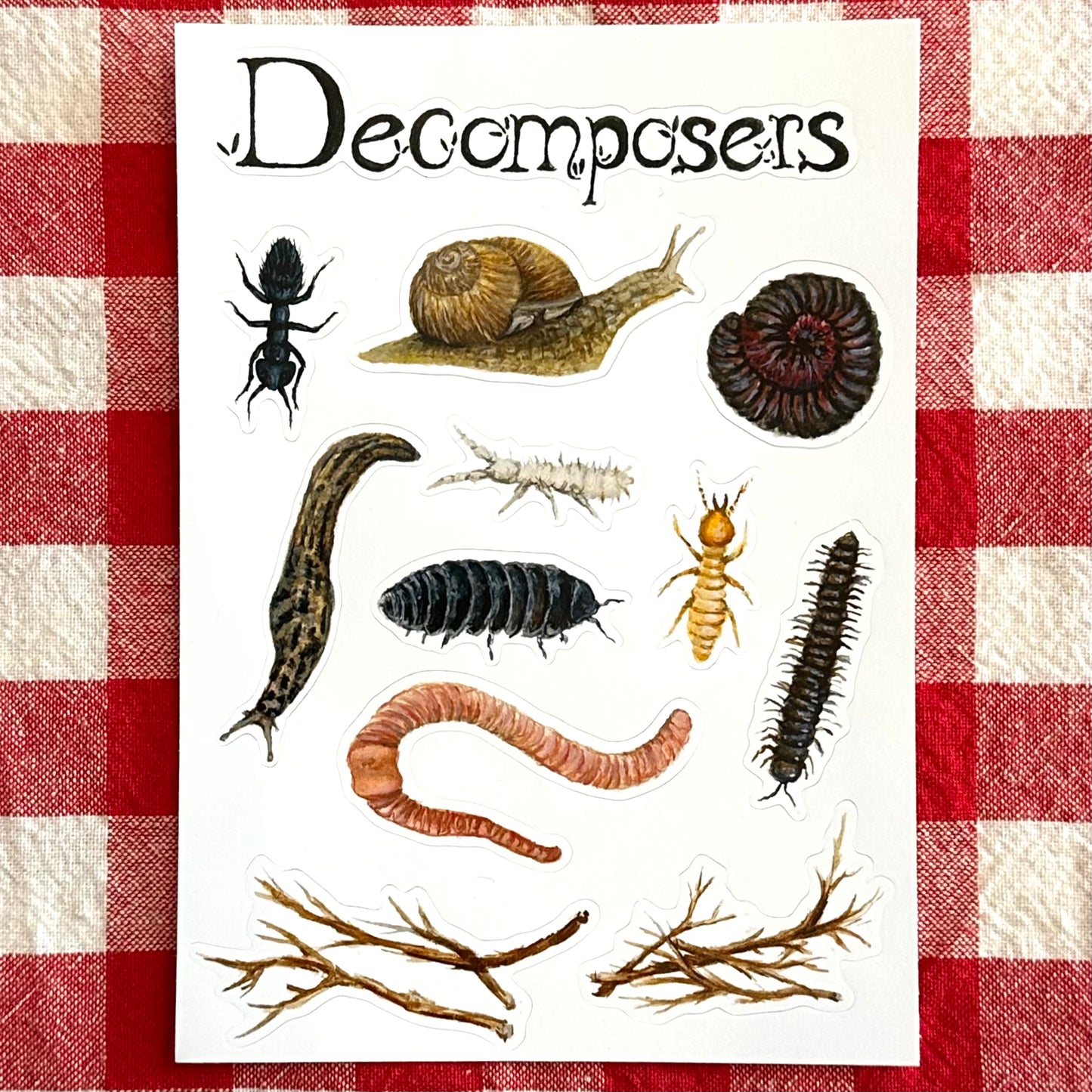 Decomposers Sticker Sheet