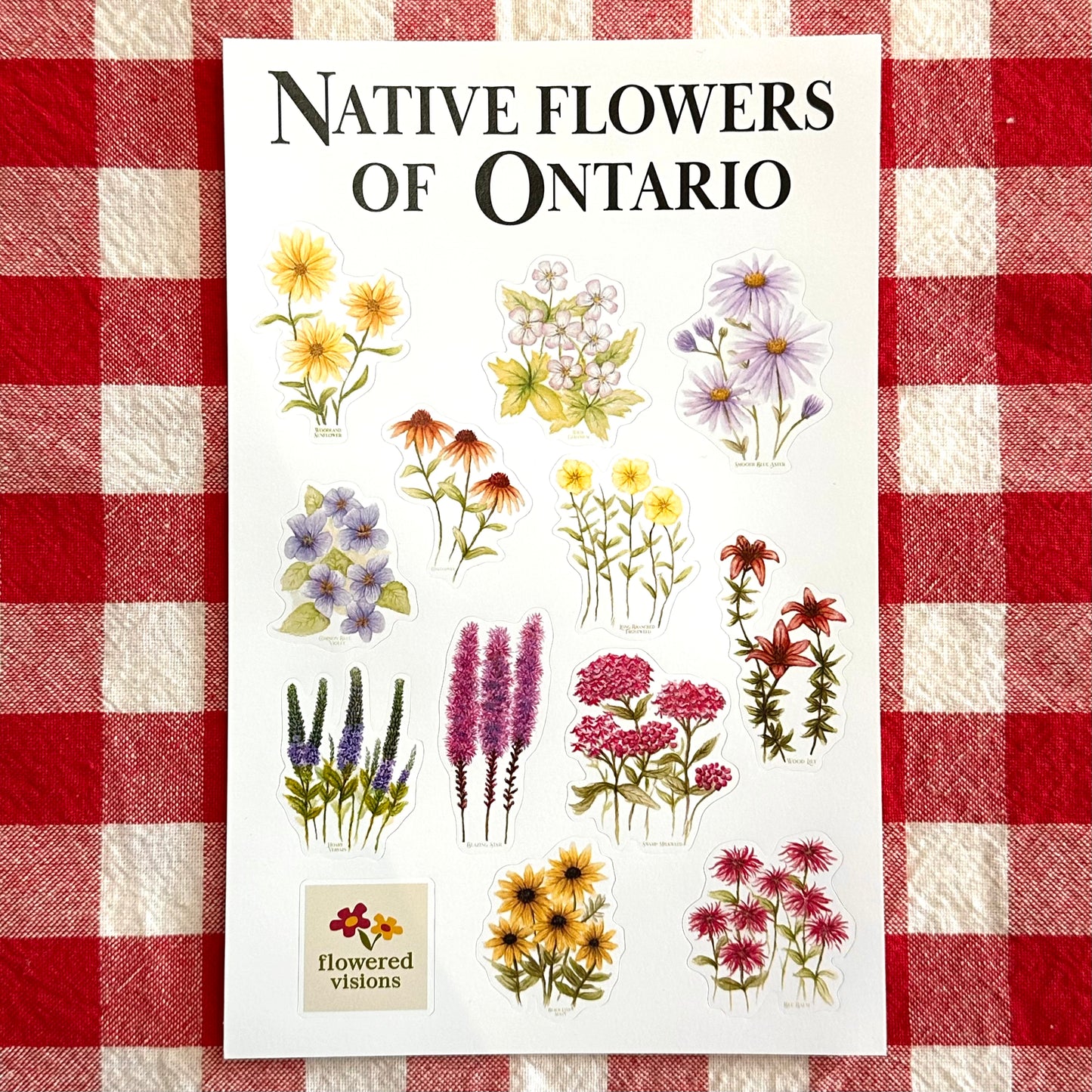 Native Flowers of Ontario Sticker Sheet
