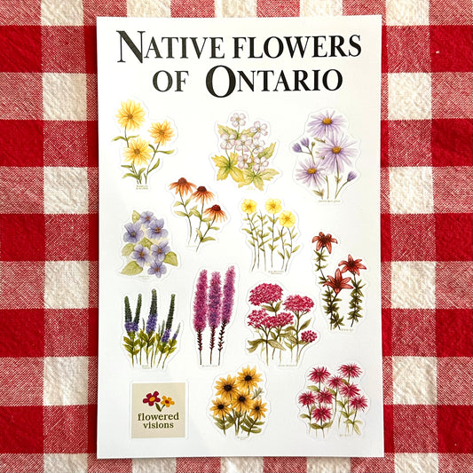 Native Flowers of Ontario Sticker Sheet