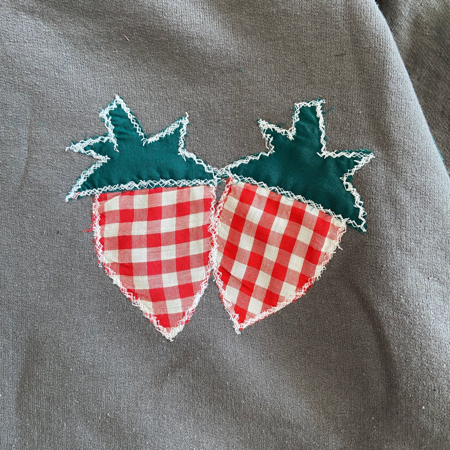 Strawberry Patch Hoodie (L)
