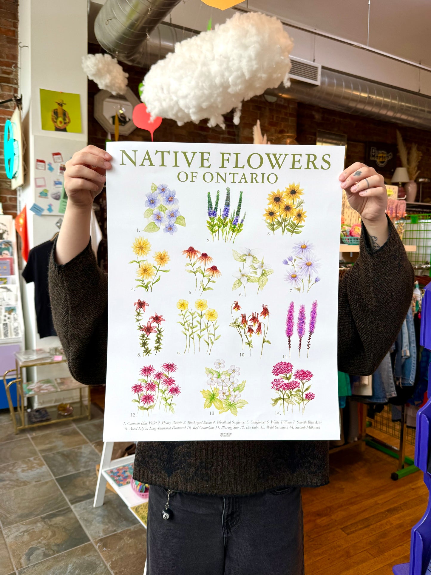 Native Flowers of Ontario Poster