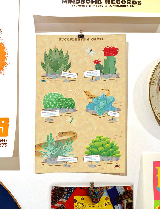 Succulents and Cacti Poster
