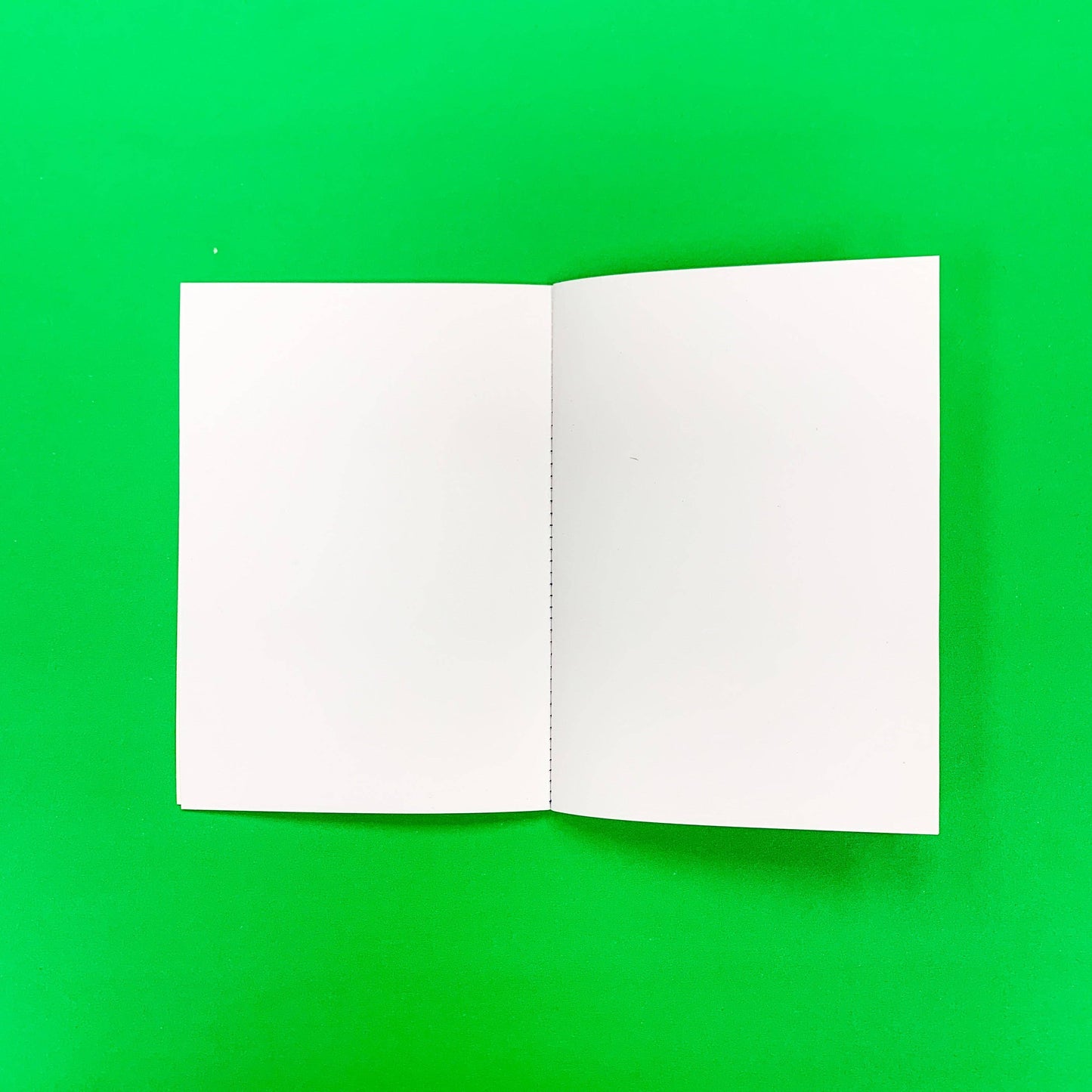 Peps and Tomates Notebook